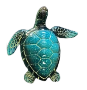 Turtle_Magnet lbmag183